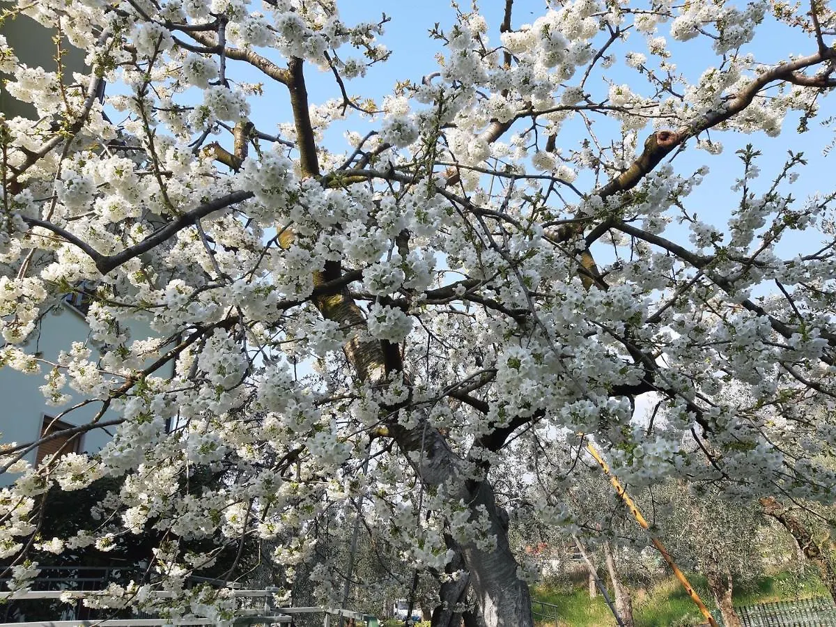 Appartamenti Prima Luce Brenzone sul Garda