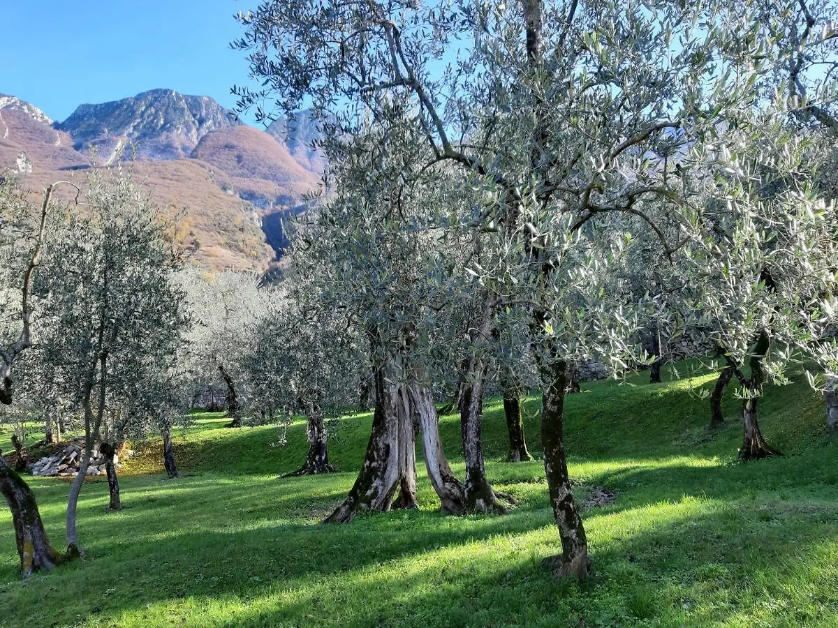 Appartamenti Prima Luce Brenzone sul Garda Apartment