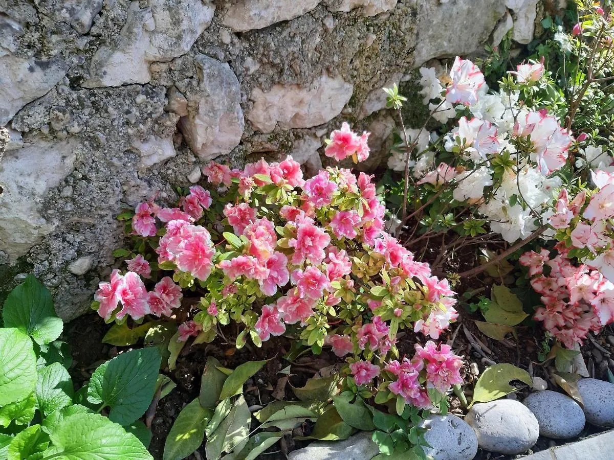 Appartamenti Prima Luce Brenzone sul Garda Apartment