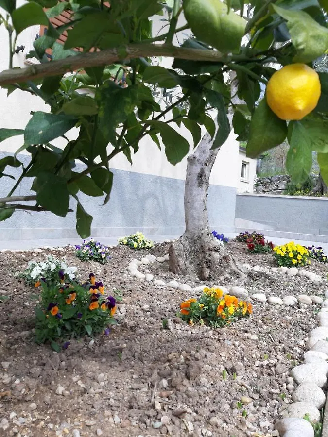 Appartamenti Prima Luce Brenzone sul Garda Apartment