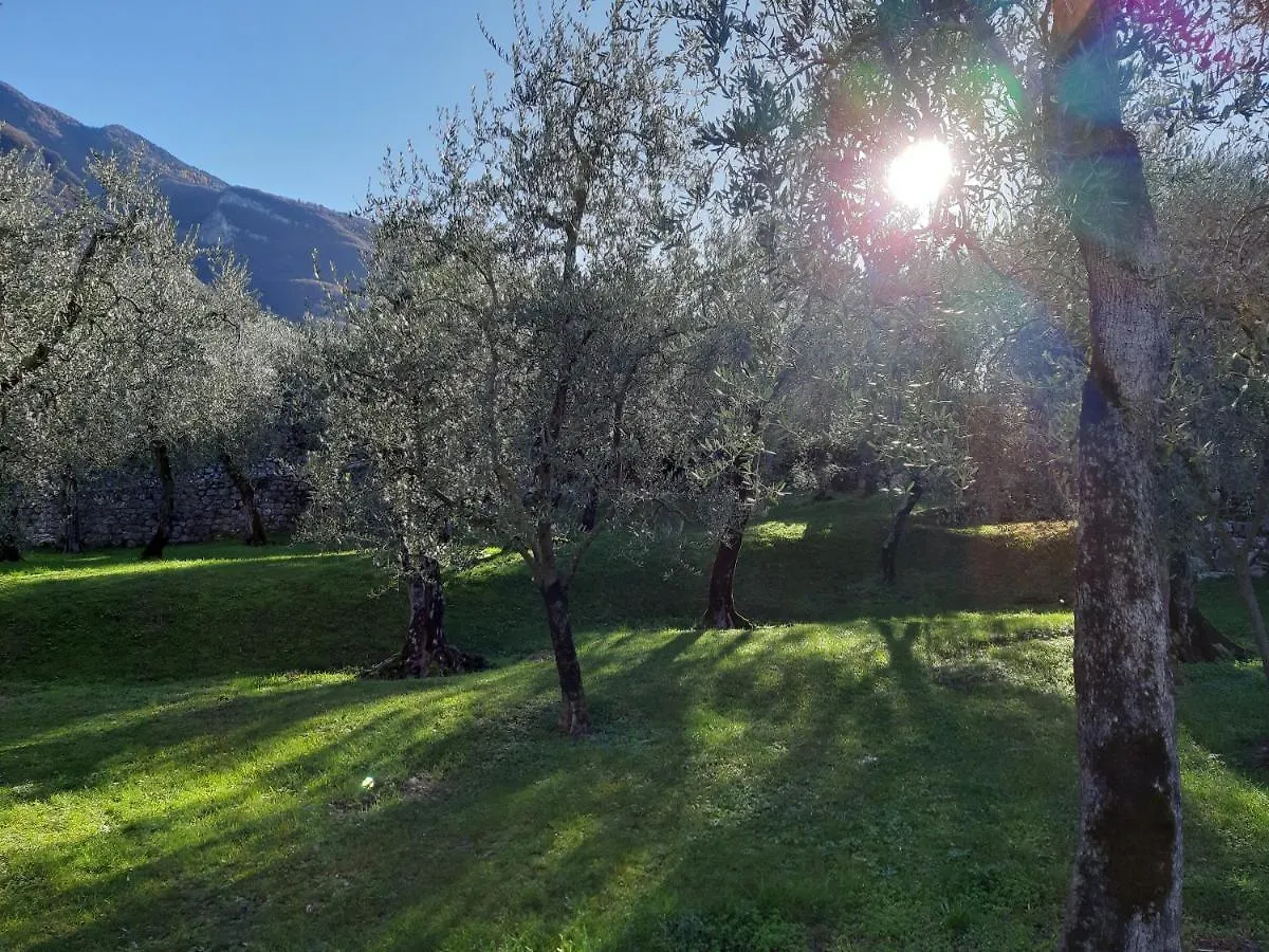 Apartment Appartamenti Prima Luce Brenzone sul Garda